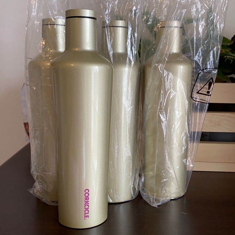 Corkcicle Canteen (One) CHRISTMAS PRESENTS!!